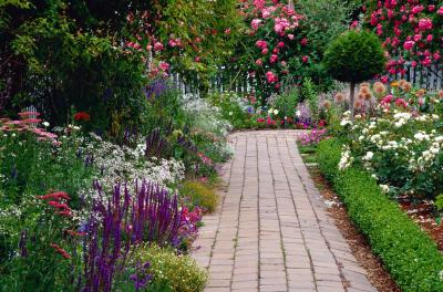 Garden Landscaping on Suffolk Garden Landscape Designer