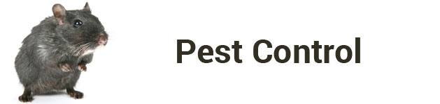 Suffolk Pest Control